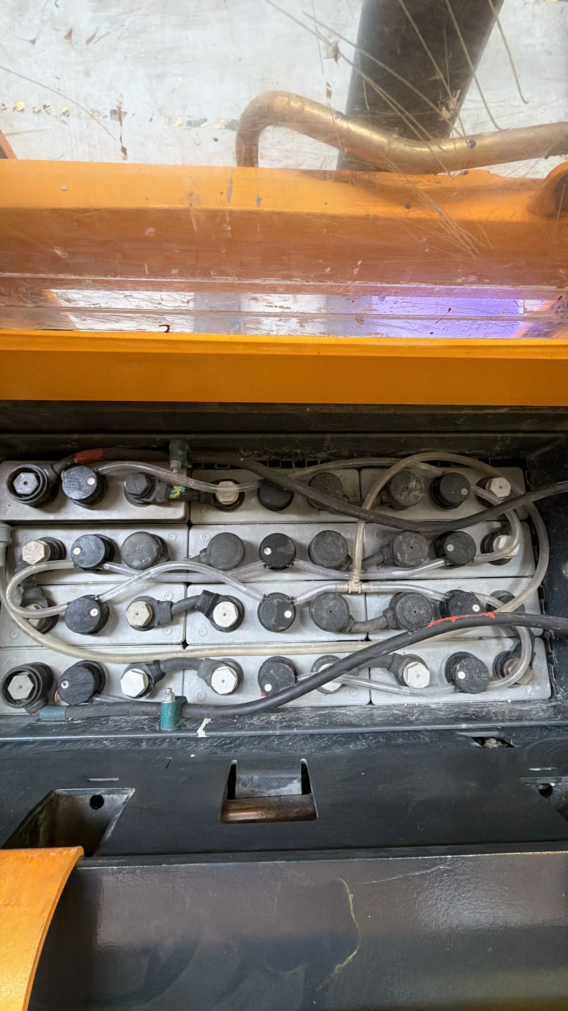 WhatsApp Image 2026-02-24 at 10.49.36 AM